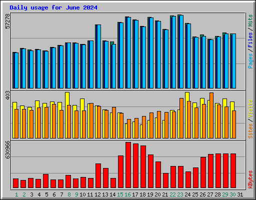 Daily usage for June 2024