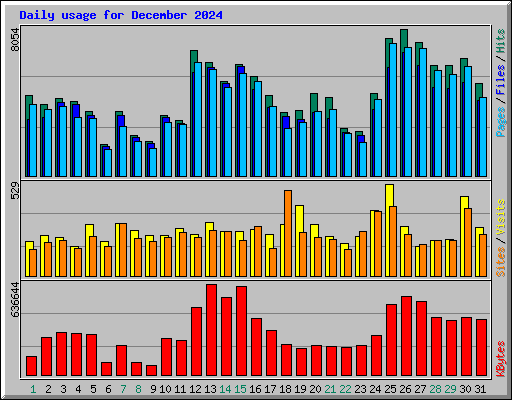 Daily usage for December 2024