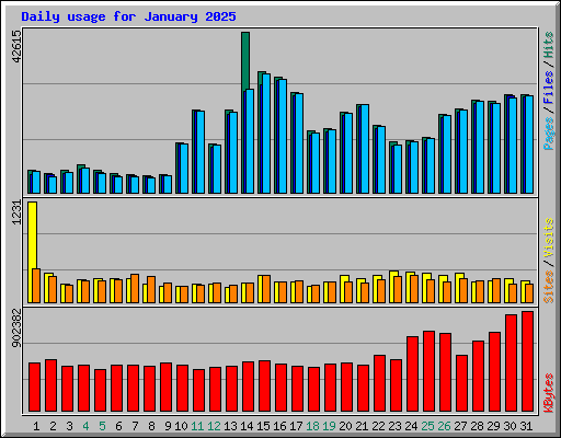 Daily usage for January 2025