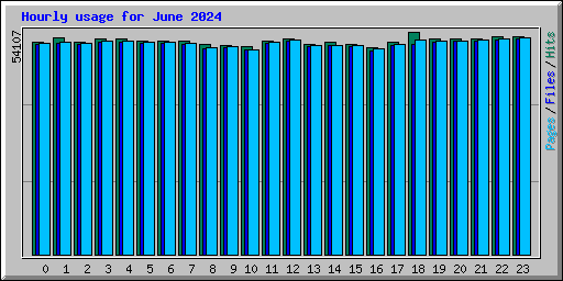 Hourly usage for June 2024