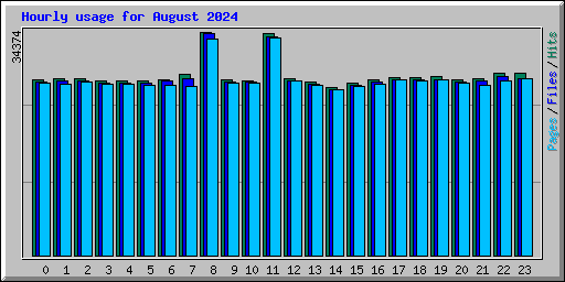 Hourly usage for August 2024