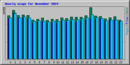 Hourly usage for November 2024