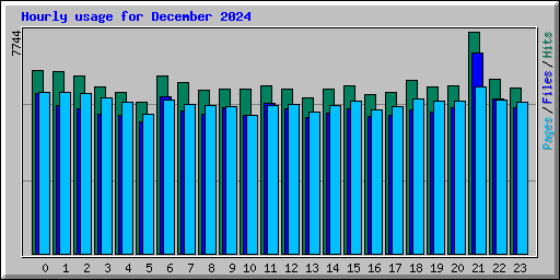 Hourly usage for December 2024