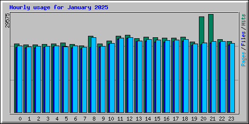 Hourly usage for January 2025