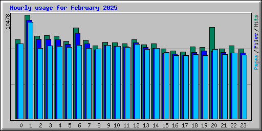 Hourly usage for February 2025