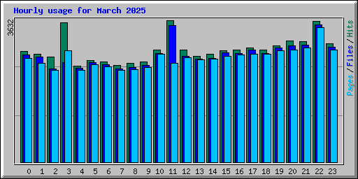 Hourly usage for March 2025