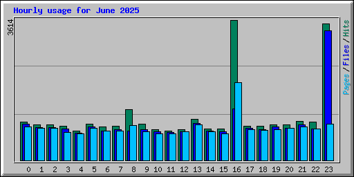 Hourly usage for June 2025
