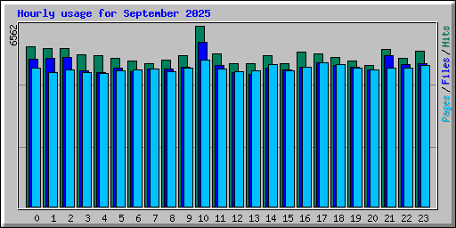Hourly usage for September 2025
