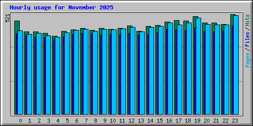 Hourly usage for November 2025