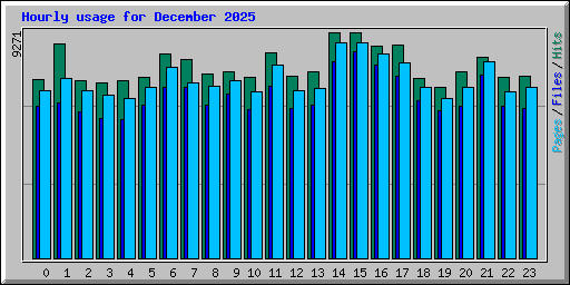 Hourly usage for December 2025