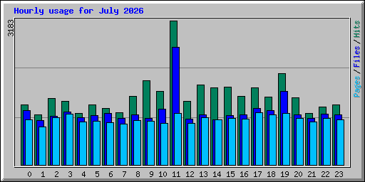 Hourly usage for July 2026