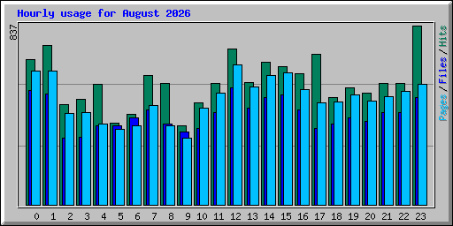Hourly usage for August 2026